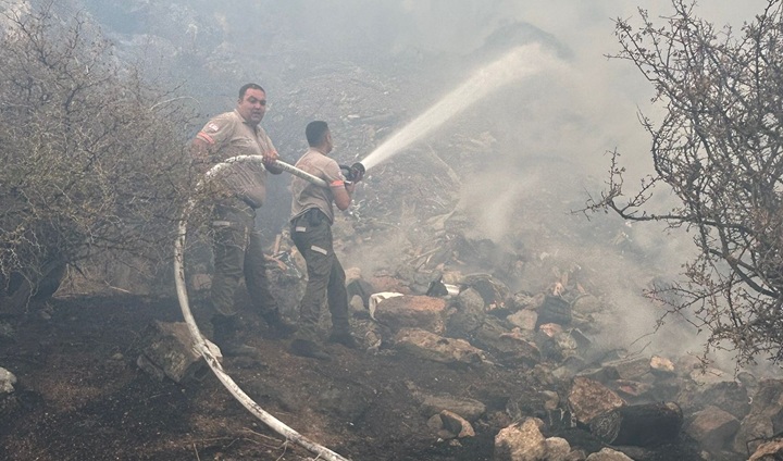 Dikmen-Boğaz Bölgesinde Yangın Paniği